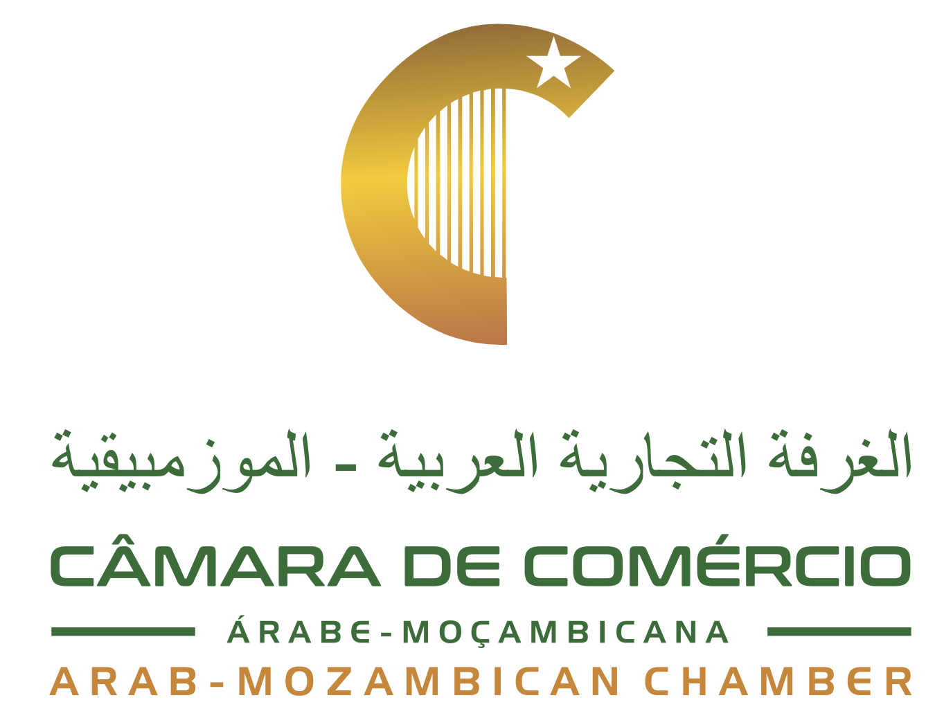 CCAM logo